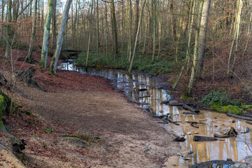 little river  in the forest