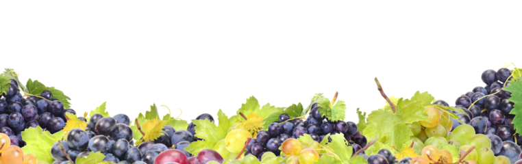 Grape fruit isolated