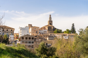 Obraz premium andscape, the bell tower of Albaida framed by trees. Valencia (Spain)