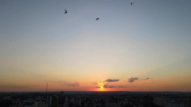 Bright colorful sunset sky with rays of sunlight and flock of birds flying against setting sun