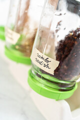 Growing sprouts in a jar