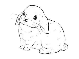 Sketch of bunny holding a blank sheet of paper. Hand drawn outline converted to vector.