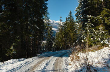 Winter road in a forest with mountain view. Snow landscape scene in Austrian Alps.
