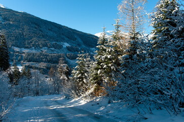 Winter forest, mountain panorama view. Snow landscape, sunny day in Austrian Alps.