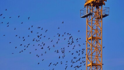 tower crane against sky