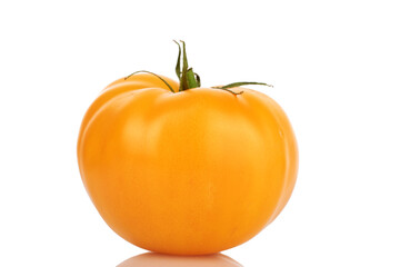 One yellow ripe tomato, close-up, on a white background.