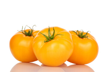 Three organic delicious, juicy tomatoes, on a white background.