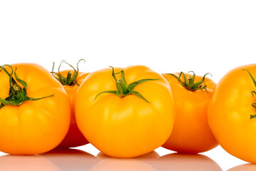 Several fresh organic, ripe yellow tomatoes on a white background.