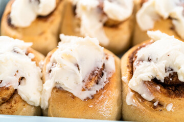 Cinnamon rolls