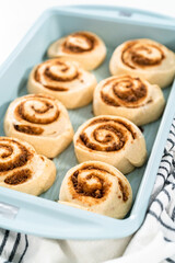 Cinnamon rolls