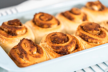 Cinnamon rolls