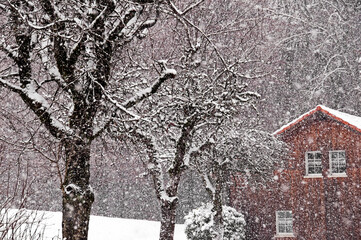 rural winter scene, heavy snowfall, Fribourg canton, Switzerland, Europe