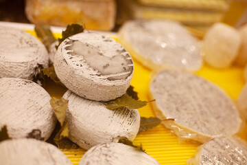 Different types of cheese for the festive New Year's table