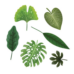 leaves vector bundle set design illustration for ecology resources