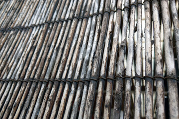 Texture of wooden or bamboo fence, background.