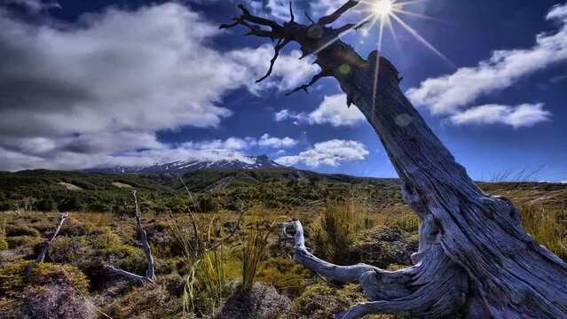 Time lapse movie of amazing colourful sunrise sky with dramatic rolling big fog and clouds flow over wilderness mountain and stump valley in morning day