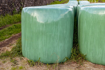 Hay bales, food for horses and other farm animals, storage for the winter.