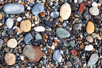 Background of sea stones. Stones of different shapes, sizes and colors on the seashore, close-up.
