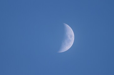 Obraz na płótnie Canvas Moon in the evening sky.