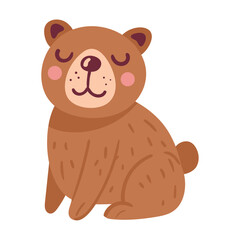 cute bear animal