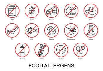 Food allergens. Set of basic allergens icons. Vector illustration