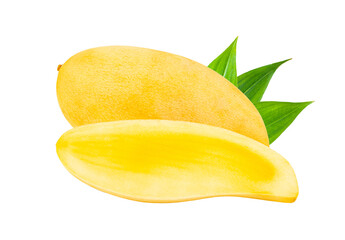 Fototapeta na wymiar ripe mango isolated on transparent png