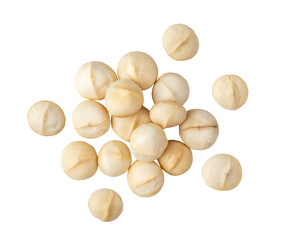 Fototapeta premium Peeled macadamia nut isolated on transparent png