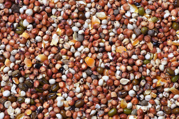 Texture of seed  and grain mix for bird feed and livestock .