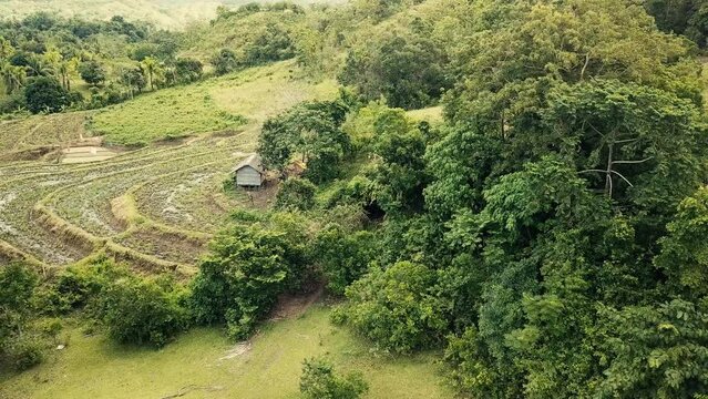 Aerial of hilly terrain used for agricultural farmland, as a terraced rice paddy. At Inabanga, Bohol, Philippines.