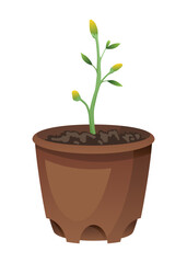 Flower growth stage in brown pot on white background. Vector illustration phase sprout of small flower