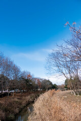 冬の自然公園をハイキング　滋賀県守山市「地球市民の森」