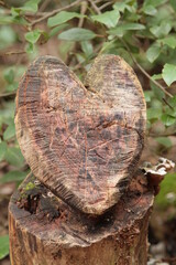 cœur en bois