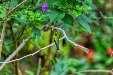 Parque Nacional del Manu