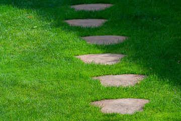 Stacked path from wooden cut circles on grass