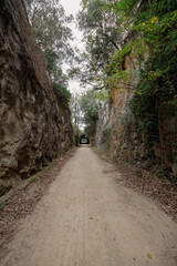 Camino de tierra rodeado de las altas y verdes montañas con las raíces de los árboles sobresaliendo de su tierra y con las hojas caídas de sus ramas a ambos lados del camino.