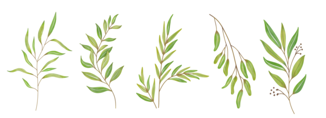 Watercolor Leaves Green, Branch painting leaf art