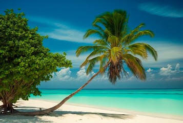 Palm trees against blue sky, tropical coast with mountains on a background, ocean, sea with turquoise water. Summertime.