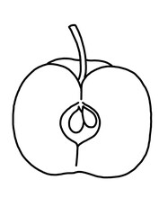 apple on white background 