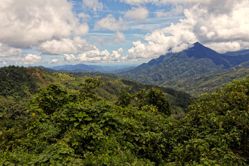Die faszinierende Welt Borneos