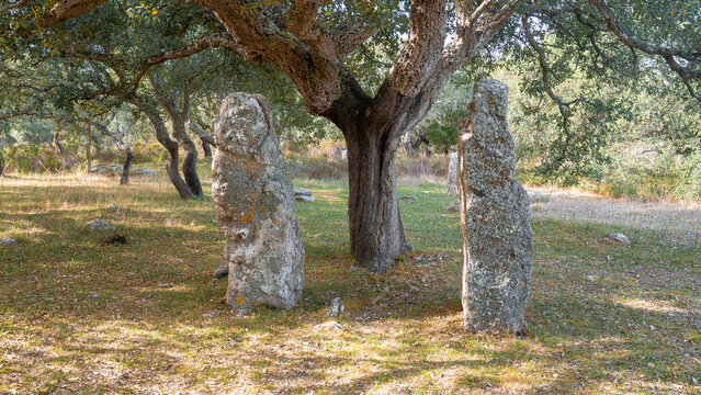 Menhir megalith stone in Sardinia Sardegna Italy big megalith stone standing in field archeological monument history, Pranu Mattedu, Goni, Sardinia
