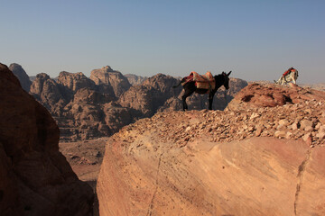 Typical mountain view on the trail with two donkey in the sight, in Petra, Jordan