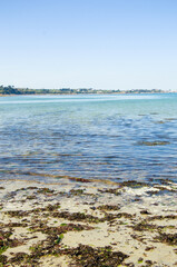 Coast of the Atlantic Ocean and low tide, sea on the coast of France