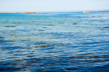 Coast of the Atlantic Ocean and low tide, sea on the coast of France