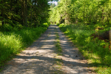 Obraz premium Der Olavsweg hier entlang des Mjøsa See zwischen Eidsvoll ud Hamar in Norwegen. Gudbrandsdalsleden ist der Pilgerweg von Oslo nach Trondheim. Der Weg führt meistens einsam und ruhig durch die Wälder