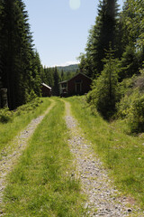 Der Olavsweg hier entlang des Mjøsa See zwischen Eidsvoll ud Hamar in Norwegen. Gudbrandsdalsleden ist der Pilgerweg von Oslo nach Trondheim. Der Weg führt meistens einsam und ruhig durch die Wälder