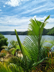 Beautiful view of the huge lake on a blue sky day with vegetation in the foreground. Vertical