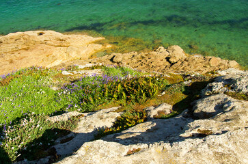 Coast of the Atlantic Ocean and low tide, sea on the coast of France