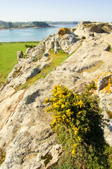 Coast of the Atlantic Ocean and low tide, sea on the coast of France