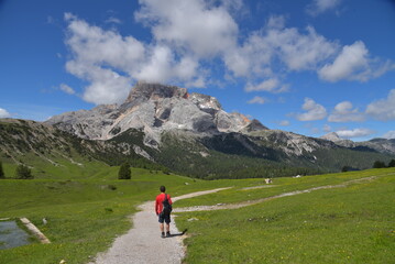 Fototapeta na wymiar Wanderweg auf der Plätzwiese in Südtirol