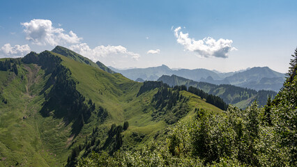 Fototapeta na wymiar Panorama Alpen in Österreich im Sommer